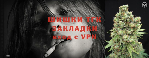 шишки Балахна