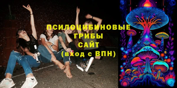 шишки Балахна