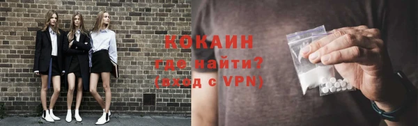 шишки Балахна