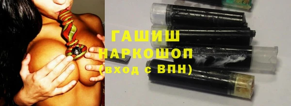 прущие грибы Аркадак